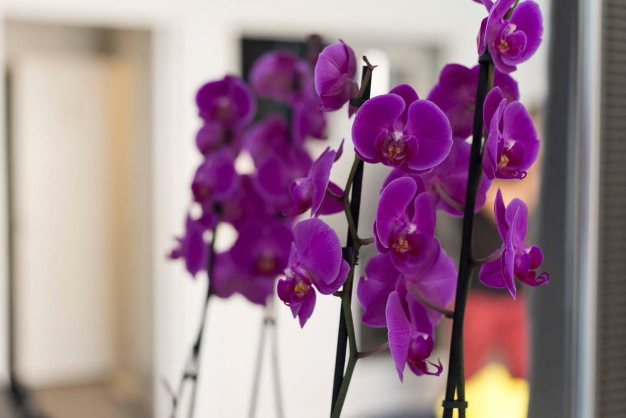 Apartamento Orchidea